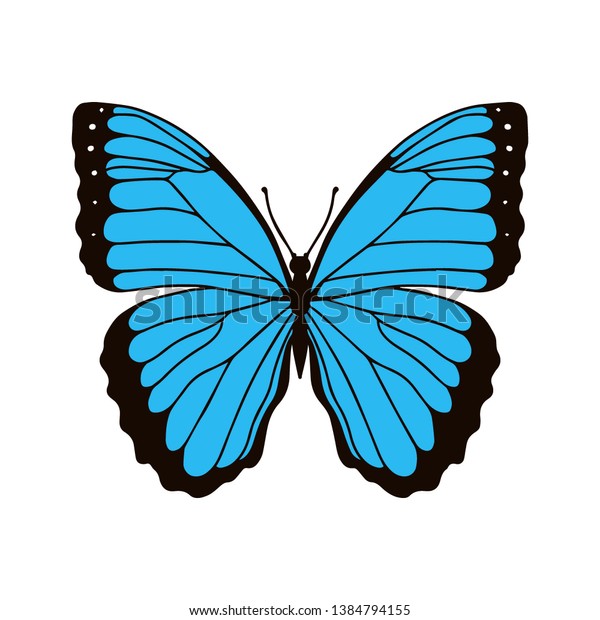 realistic monarch butterfly colour isolated on stock vector