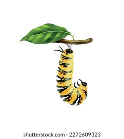 Realistic monarch butterfly life cycle stage with young caterpillar on green twig vector illustration