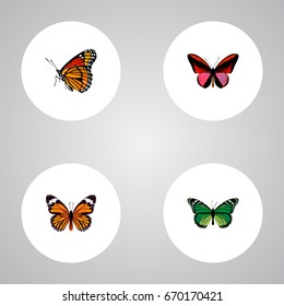 Realistic Monarch, Callicore Cynosura, Birdwing And Other Vector Elements. Set Of Beauty Realistic Symbols Also Includes Malachite, Red, Brown Objects.