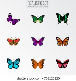 Realistic Monarch, Callicore Cynosura, Butterfly And Other Vector Elements. Set Of Butterfly Realistic Symbols Also Includes Violet, Bluewing, Orange Objects.