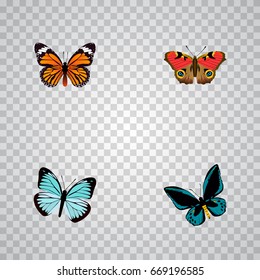 Realistic Monarch, Demophoon, Lexias And Other Vector Elements. Set Of Moth Realistic Symbols Also Includes Brown, Butterfly, Fly Objects.