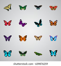 Realistic Monarch, Demophoon, Tiger Swallowtail And Other Vector Elements. Set Of Beautiful Realistic Symbols Also Includes Butterfly, Tiger, Orange Objects.