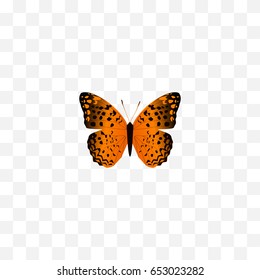 Realistic Monarch Element. Vector Illustration Of Realistic Danaus Plexippus Isolated On Clean Background. Can Be Used As Monarch, Orange And Butterfly Symbols.