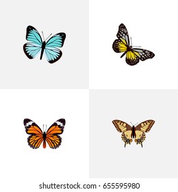 Realistic Monarch, Tiger Swallowtail, Lexias And Other Vector Elements. Set Of Butterfly Realistic Symbols Also Includes Beauty, Tiger, Butterfly Objects.