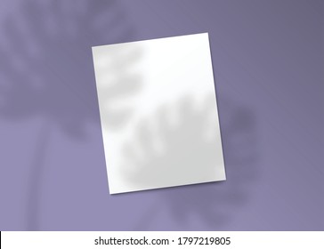 Realistic monstera plant shadow falling on blank piece of paper - text template on purple background. Subtle tropical houseplant shade on empty sheet mockup - vector illustration