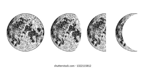 Realistic moon phases image on white background. Hand drawn cycle of moon phases. Vector 