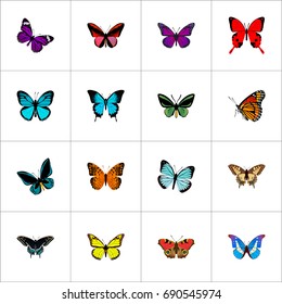 Realistic Morpho Hecuba, American Painted Lady, Purple Monarch And Other Vector Elements. Set Of Beauty Realistic Symbols Also Includes Moth, Morpho, Orange Objects.