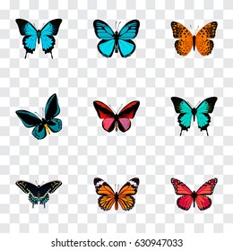 Realistic Morpho Hecuba, Azure Peacock, Demophoon And Other Vector Elements. Set Of Beautiful Realistic Symbols Also Includes Fly, Butterfly, Hairstreak Objects.