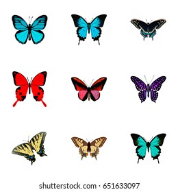 Realistic Morpho Hecuba, Callicore Cynosura, Copper And Other Vector Elements. Set Of Beauty Realistic Symbols Also Includes Julia, Butterfly, Red Objects.