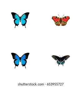 Realistic Morpho Hecuba, Common Blue, American Painted Lady And Other Vector Elements. Set Of Beauty Realistic Symbols Also Includes Butterfly, Blue, Cypris Objects.
