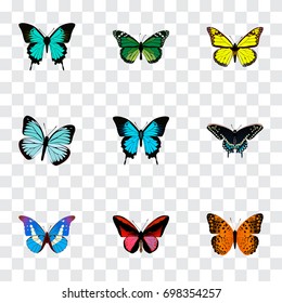 Realistic Morpho Hecuba, Copper, Callicore Cynosura And Other Vector Elements. Set Of Butterfly Realistic Symbols Also Includes Malachite, Cynosura, Morpho Objects.