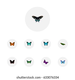Realistic Morpho Hecuba, Copper, Danaus Plexippus And Other Vector Elements. Set Of Beautiful Realistic Symbols Also Includes Orange, Hypolimnas, Moth Objects.