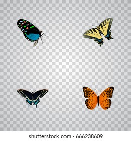 Realistic Morpho Hecuba, Danaus Plexippus, Hairstreak And Other Vector Elements. Set Of Beauty Realistic Symbols Also Includes Tiger, Monarch, Swallowtail Objects.