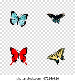 Realistic Morpho Hecuba, Lexias, Checkerspot And Other Vector Elements. Set Of Butterfly Realistic Symbols Also Includes Red, Tiger, Butterfly Objects.