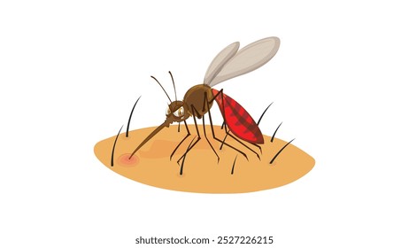 Realistische Mückenbiss-Vektorgrafik - detaillierte Insektenbiss-Illustration für den medizinischen und pädagogischen Gebrauch