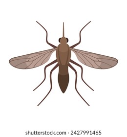 Realistic mosquito insect flat style vector illustration