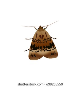 Realistic Moth Element. Vector Illustration Of Realistic Butterfly Isolated On Clean Background. 