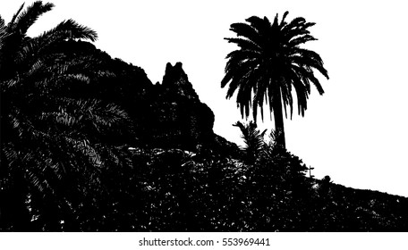 Realistic mountain landscape with palm tree.Canary Islands (Vector illustration).Eps10