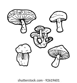realistic mushroom illustrations collection