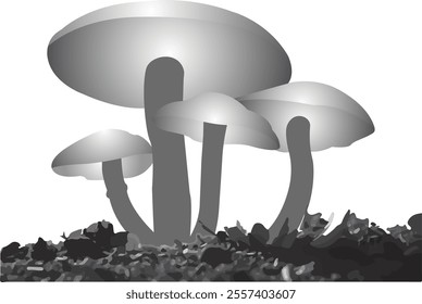 A Realistic mushroom illustrations eps and vector.