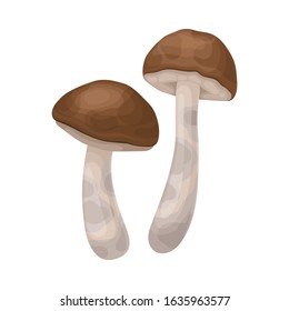 Realistic Mushroom Isolated on White Background Vector Food Item