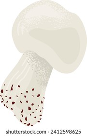 Realistic mushroom vector illustration. Single champignon with detailed cap and stem, isolated on white. Edible fungi and natural food vector illustration.