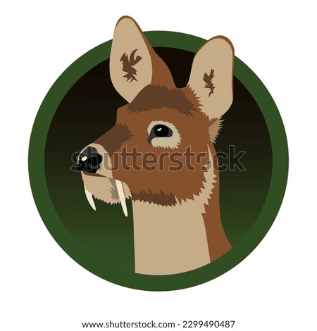 Realistic musk deer vector illustration