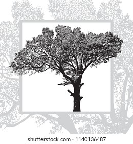 Realistic natural leafy tree isolated on white background. Abstract vector monochrome graphics illustration of foliage branches with leaves.