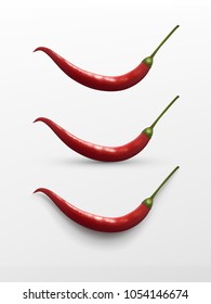 Realistic natural red hot chilli pepper, isolated image and two variants with shadows. Vector illustration