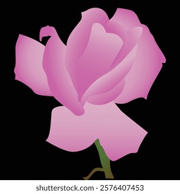 Realistic Natural Rose Vector IllustrationRealistic Natural Rose Vector Illustration