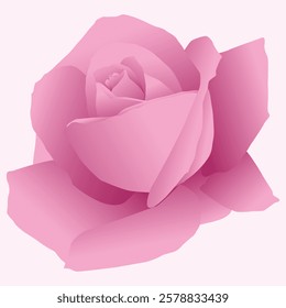 Realistic Natural Rose Vector IllustrationRealistic Natural Rose Vector Illustration