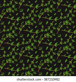 Realistic natural seamless pattern with evergreen herb. Thyme branch and  leaves on black background. Flora style. Vector illustration for wallpaper, pattern fills, surface textures, textiles design