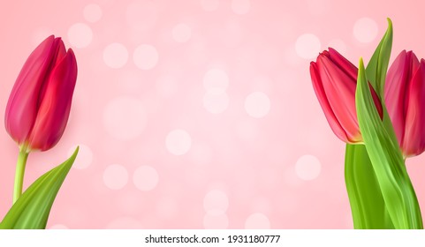 Realistic Natural Tulips Flower Background. Vector Illustration EPS10
