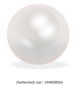 Realistic natural white pearl on background.Oyster pearl for accessories.