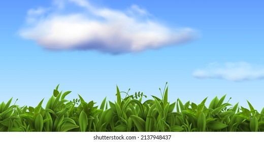 Realistic nature landscape with fresh grass and blue sky with clouds. Spring green farm or football field, meadow or lawn grass vector scene. Wild grassland, summer outdoor environment