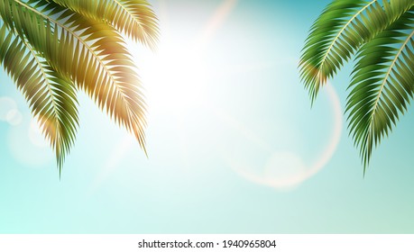 Realistic Nature Palm Leafes On Tropical Beach. EPS10 Vector