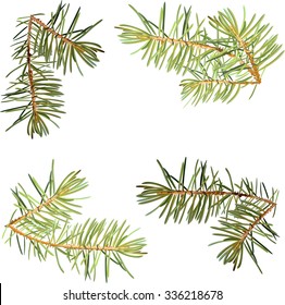 Realistic needles, spruce branches Christmas tree, isolated detailed vector, frame of spruce branches, template for design