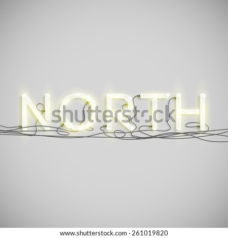 Realistic neon word with wires, vector