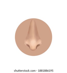 Ilustración vectorial nasal realista aislada en fondo blanco. El cuerpo del icono forma parte del ser humano. 