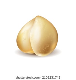 Realistic nut concept. Colorful textured sticker with peeled hazelnuts. Delicious food with vitamins, protein. Design element for printing. Cartoon 3D vector illustration isolated on white background