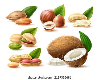 Realistic nuts. 3D natural products. Dry vegetables snacks. Almond and pistachio. Coconut with leaves. Hazelnut kernels or halves. Isolated peanuts and cashew pieces