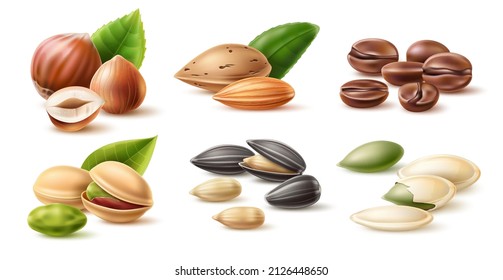 Realistic nuts and seeds. Natural snacks with leaves. Healthy products. Coffee beans. Pumpkins and sunflower grains. Isolated hazelnut heap. Pistachios and almonds