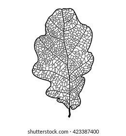 Realistic Oak Leaf. Black Contour On White Background. Vector Illustration