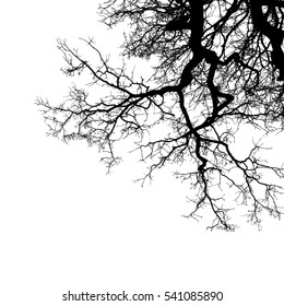 Realistic oak tree branches silhouette (Vector illustration).eps10