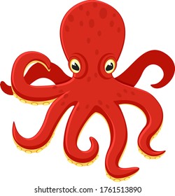 Realistic octopus in red on a white. Undersea world