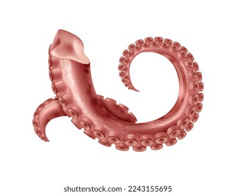 Tentáculos de pulpo realistas sobre ilustración vectorial de fondo blanco