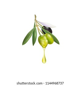 Realistic olive branch 3d illustration for advertising posters, postcards, labels