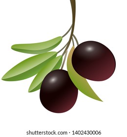 Realistic olive branch with berries on a white background