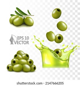 Realistic olive oil splash, fresh olive branch, natural product, 3d vector illustration
