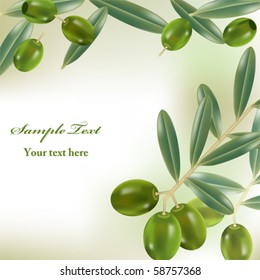 Realistic olives background. Illustration vector.